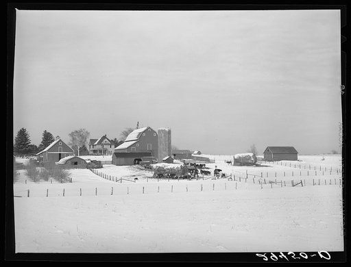 Farm. Grundy County, Iowa