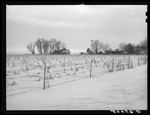 Farm. Marshall County, Iowa