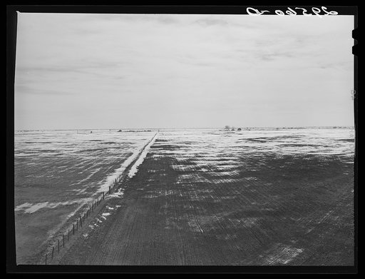 Untitled photo, possibly related to: Snow melting on fields. Hayes County, Nebraska