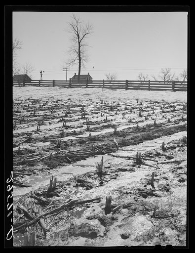Melting snow. Hayes County, Nebraska