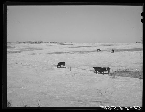 Farm. Hayes County, Nebraska