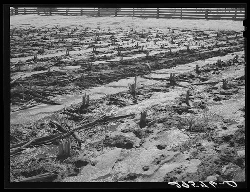 Melting snow. Hayes County, Nebraska