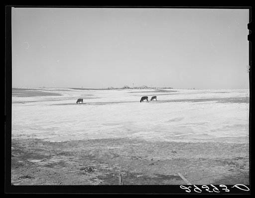 Farm. Hayes County, Nebraska