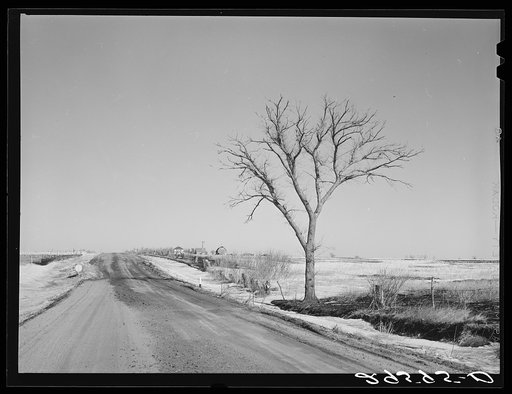 Rural road. Hayes County, Nebraska