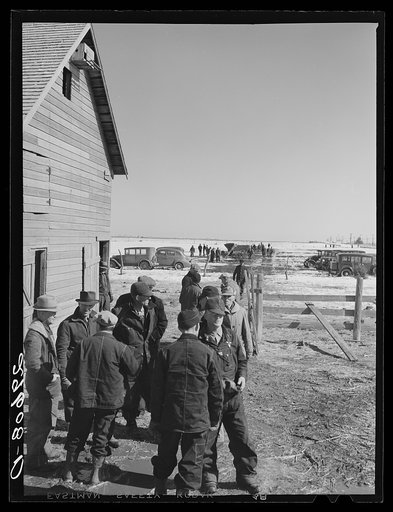 Farmers at Zimmerman auction near Hastings, Nebraska