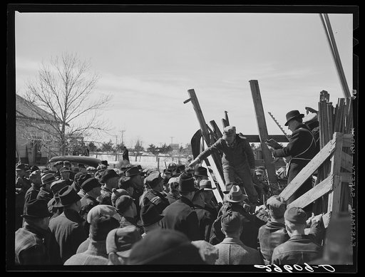 Auctioning farm equipment at Zimmerman farm near Hastings, Nebraska