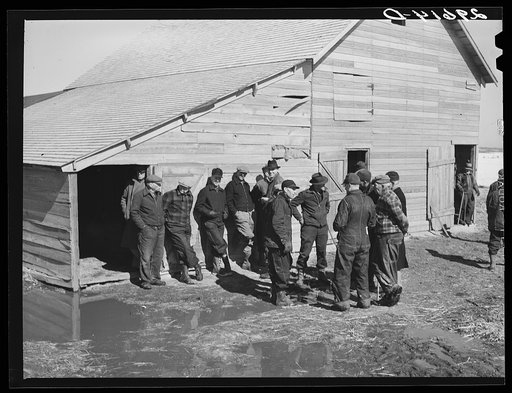 Untitled photo, possibly related to: Farmers at Zimmerman auction near Hastings, Nebraska