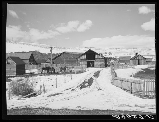 Farm. Summit County, Utah