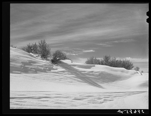 Snow on Emigrant Pass. Eureka County, Nevada