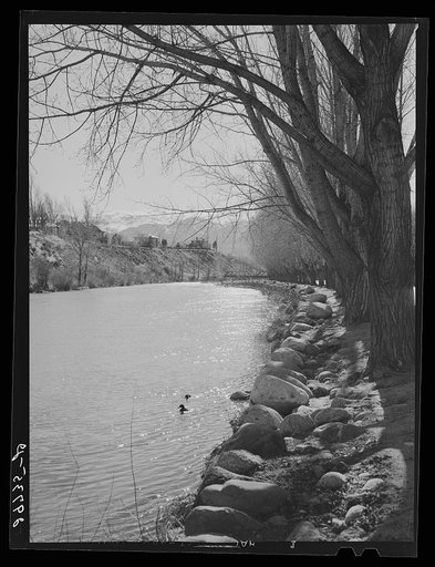 Truckee River. Reno, Nevada
