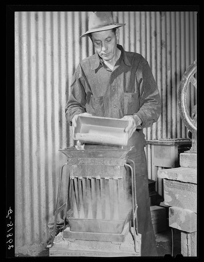 Separating gold ore samples at assay office. El Dorado Canyon, Nevada