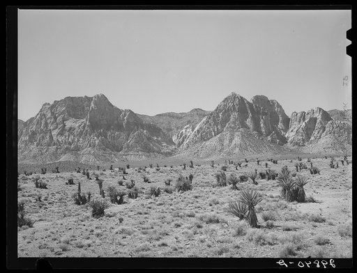 Approach to Pine Creek Canyon. Clark County, Nevada