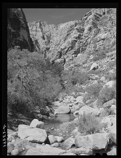 Pine Creek Canyon. Clark County, Nevada