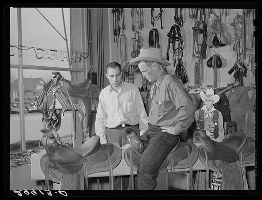 Cowhand trying saddle. Saddlery, Elko, Nevada