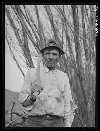 Indian woodcutter. McDermitt Reservation, Nevada