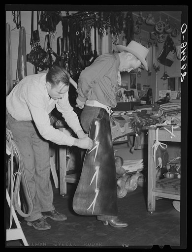 Cowhand tries on chaps. Capriola Saddlery, Elko, Nevada