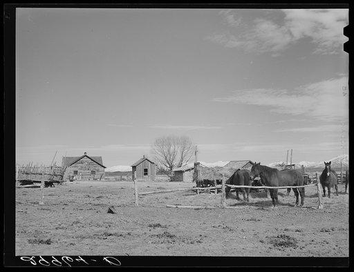 Cattle ranch. Elko County, Nevada