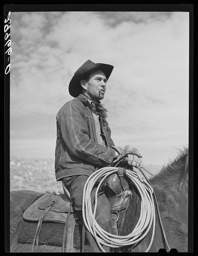 Cowhand. Elko County, Nevada