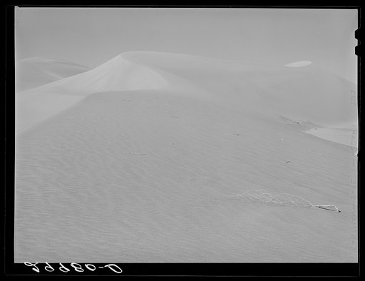Sand dune. Nye County, Nevada