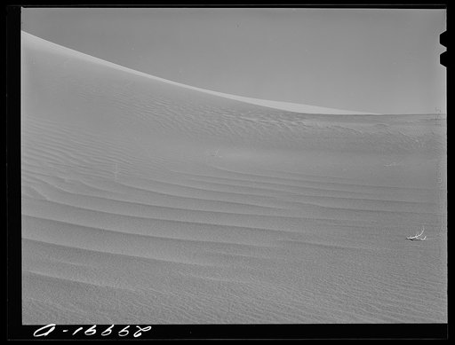Sand dune. Nye County, Nevada