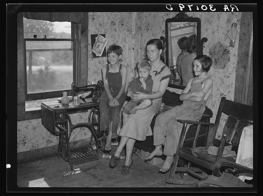 Part of Earl Taylor's family near Black River Falls, Wisconsin. Taylor is the foreman of a RA (Resettlement Administration) project crew. He does not farm his land