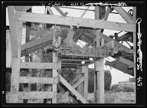 Conveyors at vinery near Sun Prairie, Wisconsin