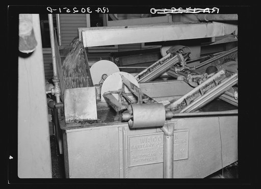 Peas are washed in this machine at the canning factory. Sun Prairie, Wisconsin