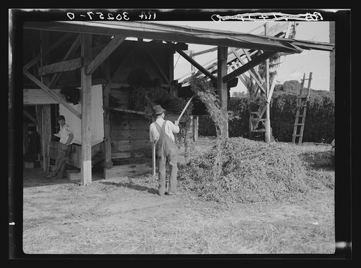 Barn on farm near Madison, Wisconsin