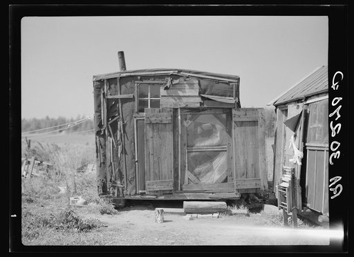 Tarpaper dwelling of man living in abandoned lumber camp. Gemmel, Minnesota