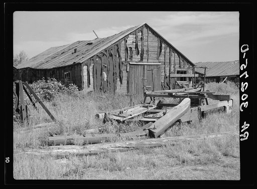Remains of building in old lumber camp near Gemmel, Minnesota