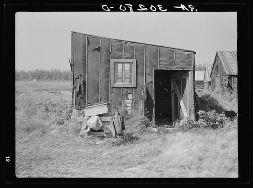 Tarpaper dwelling occupied by person living in abandoned lumber camp. Gemmel, Minnesota