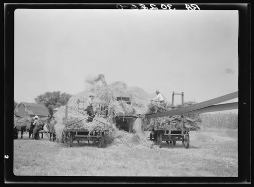Untitled photo, possibly related to: Threshing operations near Kewanee, Illinois
