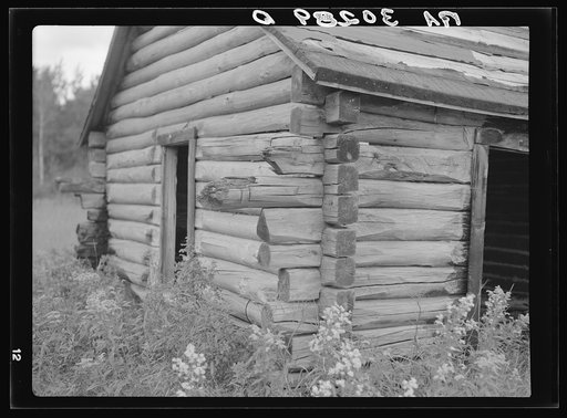 Detail of old log cabin near Gheen, Minnesota