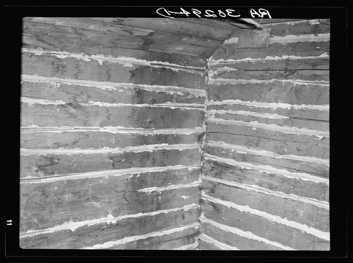 Corner of interior of old log cabin showing detail of construction and hand-hewn logs. Near Gheen, Minnesota