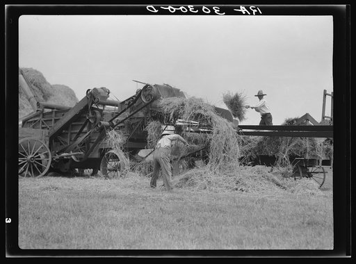 Threshing operations near Kewanee, Illinois