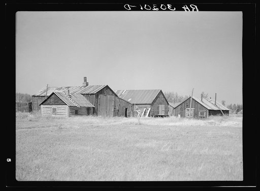 Untitled photo, possibly related to: Building in abandoned lumber camp. Gemmel, Minnesota