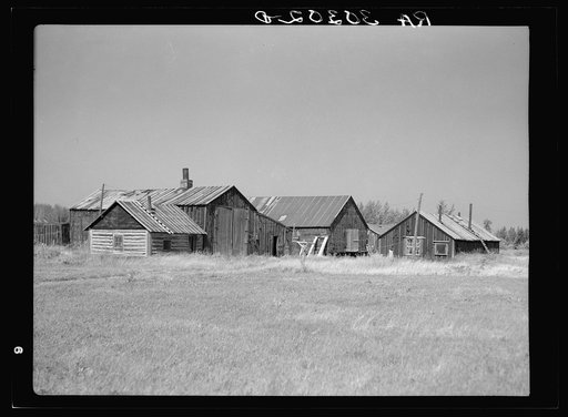Untitled photo, possibly related to: Building in abandoned lumber camp. Gemmel, Minnesota