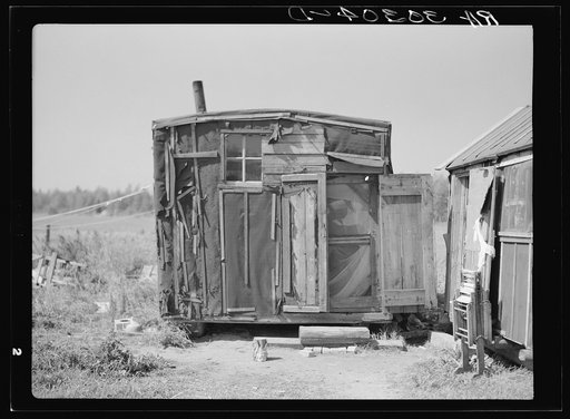 Untitled photo, possibly related to: Abadoned lumber camp. Gemmel, Minnesota