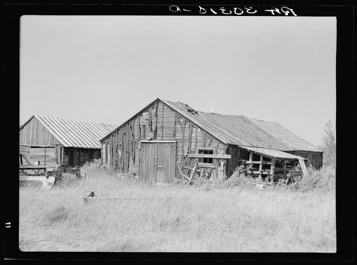 Buildings in abandoned lumber camp near Gemmel, Minnesota