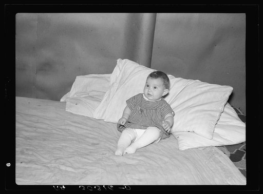 Untitled photo, possibly related to: Family and brother-in-law living in tarpaper shack in abandoned lumbercamp. Gemmel, Minnesota