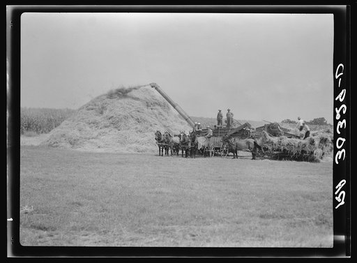 Threshing operations near Kewanee, Illinois