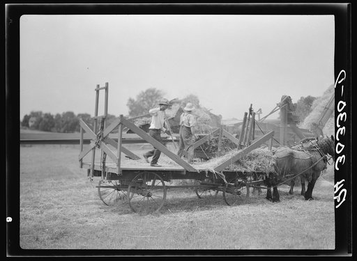 Threshing oats near Kewanee, Illinois