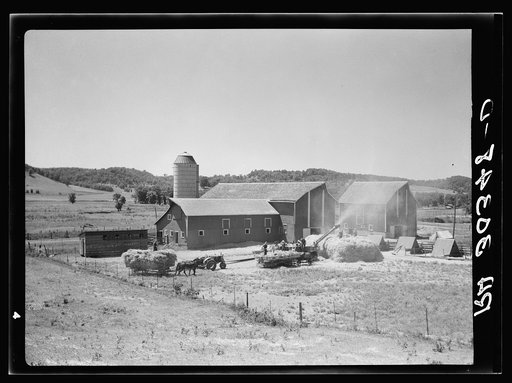 Threshing operations. Southwestern Wisconsin