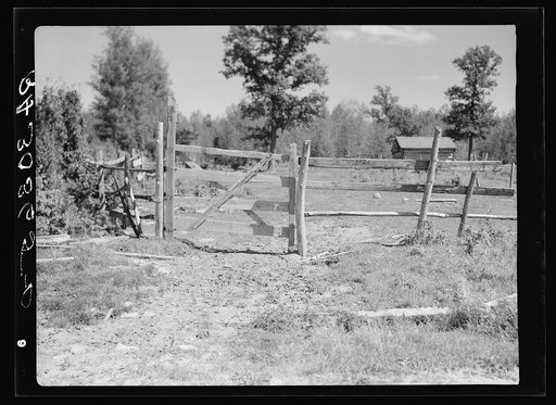 Fence and gate. Ericsburg, Minnesota