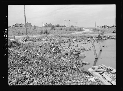 Wood shavings and piling. Remnants of logging operations at Winton, Minnesota