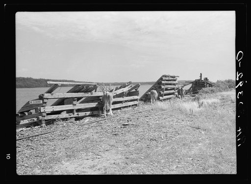 Remains of lumbering operations. Winton, Minnesota, "bust" town