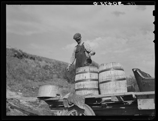 Herman Gerling filling barrels with water from spring, both for stock and home use. This spring also supplies other families in the vicinity. Near Wheelock, North Dakota