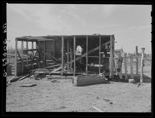 Harness shed on farm of E. Gorder. Williams County, North Dakota