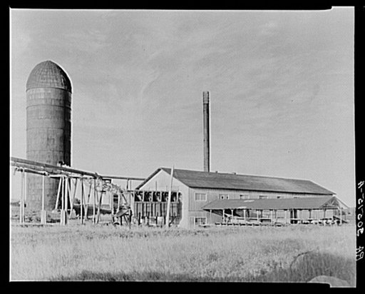 Old refuse burner and sawmill at Tower, Minnesota