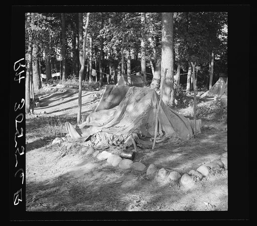 Tent of Indian blueberry picker. Littlefork, Minnesota
